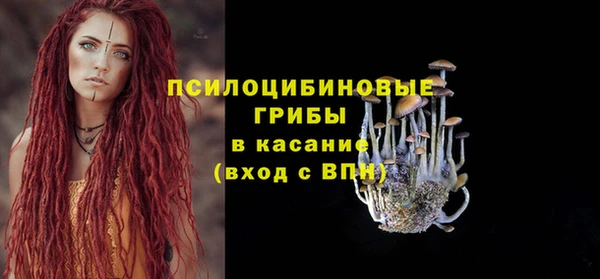 ALPHA-PVP Алексеевка