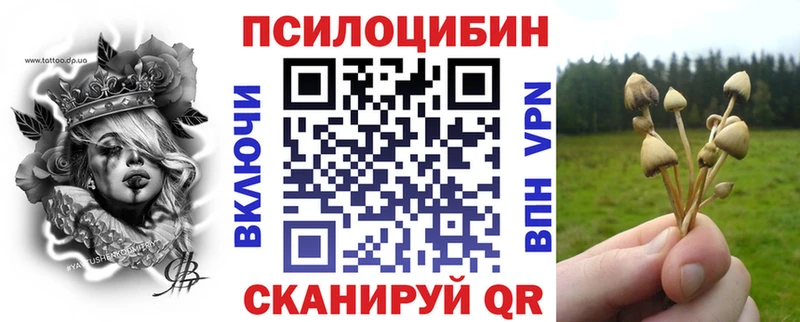 где купить   Темрюк  ссылка на мегу вход  Галлюциногенные грибы MAGIC MUSHROOMS 